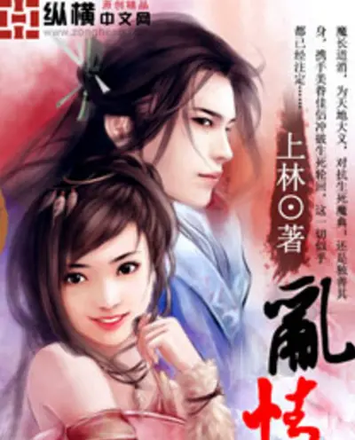 纵横苍穹之乱世迷情