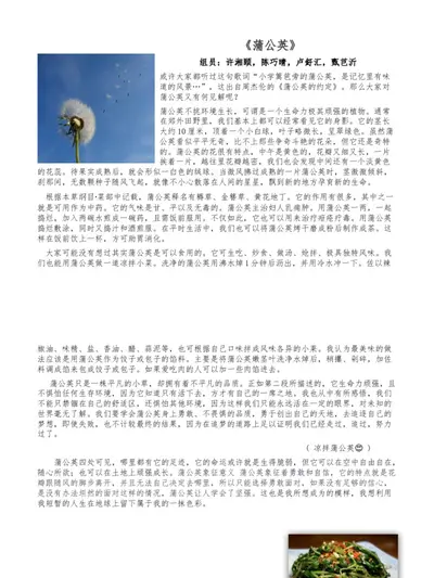 蒲公英的起跑线