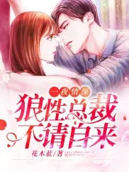 狼性总裁晚上见