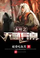 木叶之顶级二代