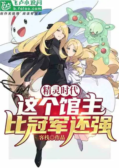 精灵之最强飞行系训练家