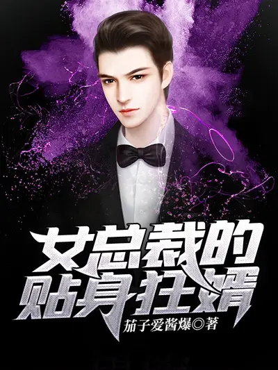 女总裁的上门狂婿